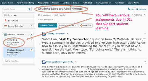 Support Assignments