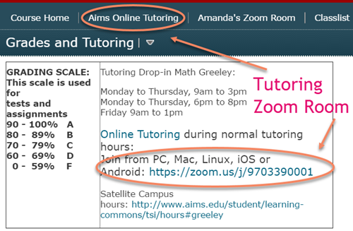 Zoom Tutoring